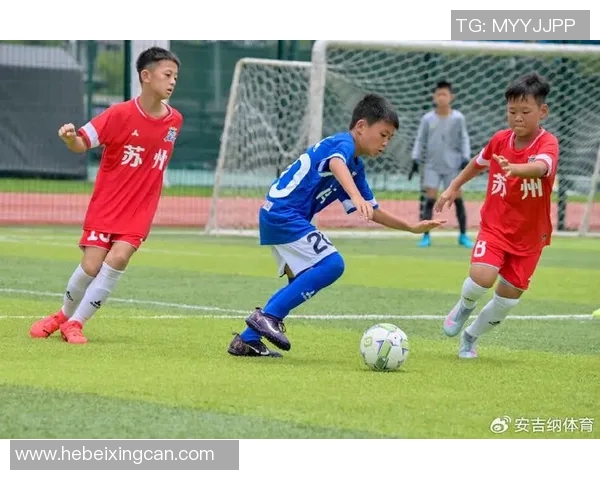 从草地到绿茵场足球明星的奋斗与梦想之旅